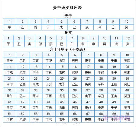 1982 天干地支|天干地支年份对照表